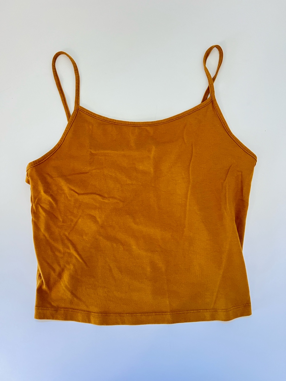 wild fable Rust Orange Spaghetti Strap Crop Cami Simple Tank Top Earth Tone Sz L